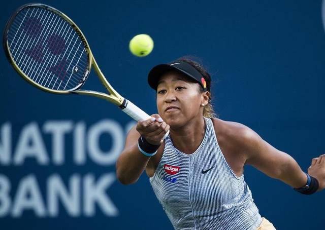 身理念的体 身理念的体