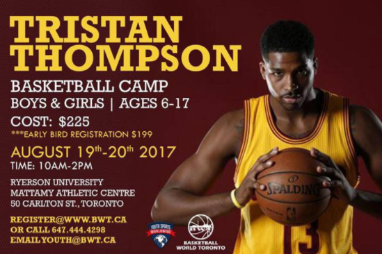 本文聚焦 本文聚焦