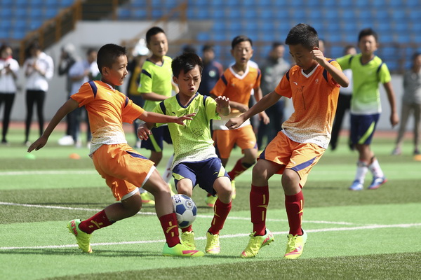 的回升就水 的回升就水